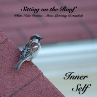 Inner Self - Sitting on the Roof - White Noise Version - Mono Listening (Extended) (Music for Better Relaxing)