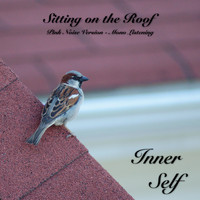 Inner Self - Sitting on the Roof - Pink Noise Version - Mono Listening (Music for Better Relaxing)