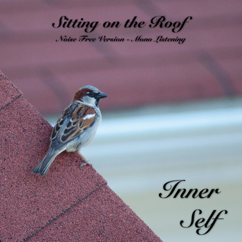 Inner Self - Sitting on the Roof - Noise Free Version - Mono Listening