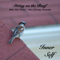 Inner Self - Sitting on the Roof - Pink Noise Version - Mono Listening (Extended)