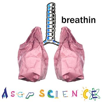 Breathin Science Acapella Parod Asapscience Mp3 Downloads 7digital United States