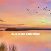 Rain Sounds, Rain for Deep Sleep and Rainfall - Rain Sound Collection