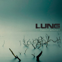 Lung - Parasympathy