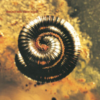 Nine Inch Nails - Closer To God (Explicit)