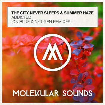 The City Never Sleeps & Summer Haze - Addicted (The Remixes)