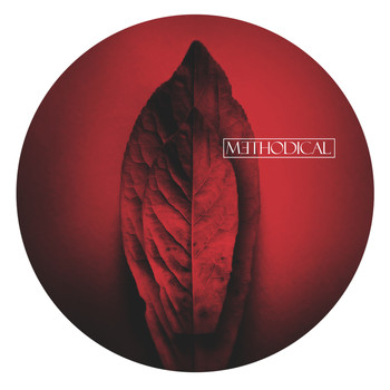 Radial / MTD - METHODICAL 0002