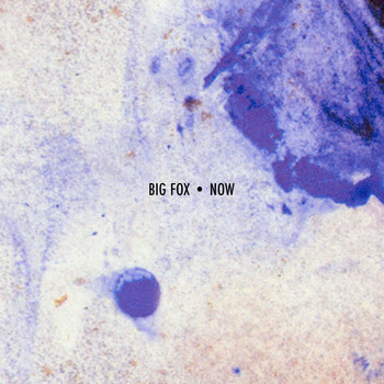 Big Fox - Now