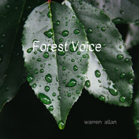 Warren Allan - Forest Voice