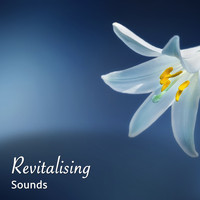 Deep Sleep Relaxation, Meditation Relaxation Club, Lullabies for Deep Meditation - #15 Revitalising Collection for Sleep and Relaxation