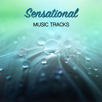 Musica Relajante, Oasis of Relaxation and Meditation, Rising Higher Meditation - #19 Sensational Music Tracks for Relaxation & Massage