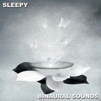 The Sleep Principle, ASMR Sleep Sounds, Masters of Binaurality - #6 Sleepy Binaural Sounds