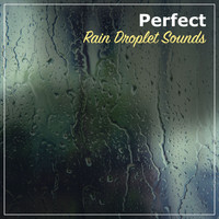 Nature Sounds XLE Library, Life Sounds Nature, Deep Sleep FX - #11 Perfect Rain Droplet Sounds