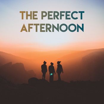 Various Artists - The Perfect Afternoon