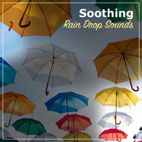 Deep Rain Sampling, Thunderstorm Sleep, Sleep Recording Sounds - #10 Soothing Rain Drop Sounds