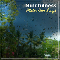 Rain Sounds, Calming Sounds, Nature Sounds Nature Music - #21 Mindfulness Winter Rain Songs