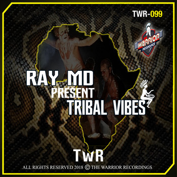Various Artists - Tribal Vibes