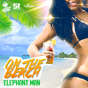Elephant Man - On the Beach - Single (Explicit)