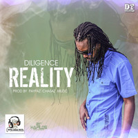 Diligence - Reality