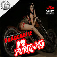 Ganggoolie - 12 Furlong - Single