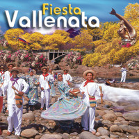 Fiesta Vallenata - Fiesta Vallenata