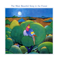 Jim Spencer - The Most Beautiful Song in the Forest