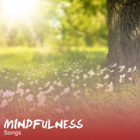 Zen Music Garden, Meditation, Relaxing Mindfulness Meditation Relaxation Maestro - #12 Mindfulness Songs for Zen Relaxation & Meditation