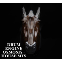 Drum Engine - Osmosis (House Mix)
