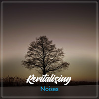 Serenity Spa Music Relaxation, Spa Music Collective, Spa Zen - #16 Revitalising Noises for Zen Spa