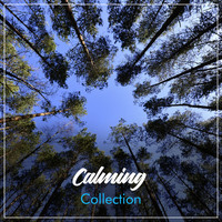 Massage Tribe, Massage, Massage Therapy Music - #19 Calming Collection for Massage Therapy