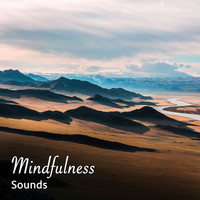 Yoga, Buddhist Meditation Music Set, Meditation Zen Master - #13 Mindfulness Sounds for Meditation and Yoga