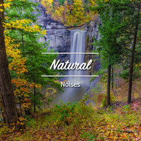 The Sleep Helpers, Serenity for Sleep, Deep Sleep Music Experience - #18 Natural Noises for a Great Nights Sleep