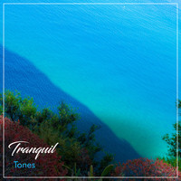 Deep Sleep Relaxation, Meditation Relaxation Club, Lullabies for Deep Meditation - #21 Tranquil Tones for Sleep and Relaxation
