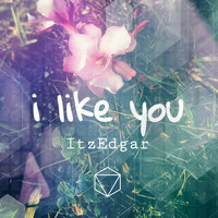 ItzEdgar - I Like You