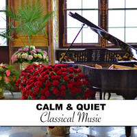 Piano Suave Relajante, Los Pianos Barrocos, Relajacion Piano - #16 Calm & Quiet Classical Music