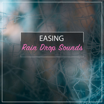 Spa, Sounds Of Nature : Thunderstorm, Rain, White Noise Meditation - #13 Easing Rain Drop Sounds