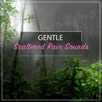 Sounds of Nature Relaxation, Nature Sound Series, Ambient Nature Project - #21 Gentle Scattered Rain Sounds