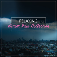 Nature Sounds XLE Library, Life Sounds Nature, Deep Sleep FX - #14 Relaxing Winter Rain Collection