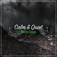 Lullaby Rain, Rain Sound Plus, Nature Noise - #20 Calm & Quiet Rainy Days