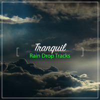Rain Sounds, Relaxing Music Therapy, Nature Sounds Nature Music - #17 Tranquil Rain Drop Tracks