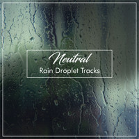 Sounds of Rain & Thunder Storms, Meditation & Stress Relief Therapy, Spa Music Paradise - #15 Neutral Rain Droplet Tracks
