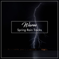 Rain Sound Studio, Rain and Nature, Relaxing Music Therapy - #20 Warm Spring Rain Tracks