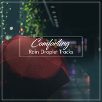 Deep Rain Sampling, Thunderstorm Sleep, Sleep Recording Sounds - #10 Comforting Rain Droplet Tracks