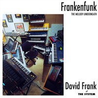 David Frank - Frankenfunk: The Melody Underneath