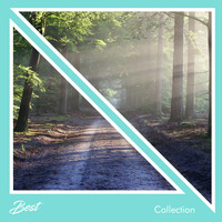 Deep Sleep Music Collective, Sleepy Night Music, Sleepy Times - #13 Best Collection for Sleep