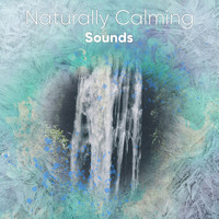Yoga Music, Yoga Sounds, Yoga Soul - #1 Hour of Naturally Calming Sounds for Yoga
