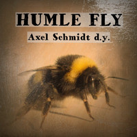 Axel Schmidt d.y. - Humle fly. (Jan. 2016)