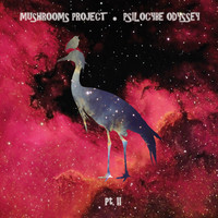 Mushrooms Project - Psilocybe Odyssey (Pt. 2)