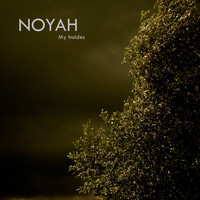 Noyah - My Insides