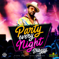 Shaggy - Party Every Night