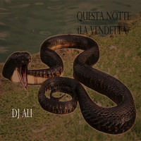 DJ Ali - Questa notte (La Vendetta Dance Mix)